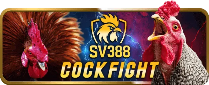Các tính năng bảo mật và hỗ trợ tại HM88BET